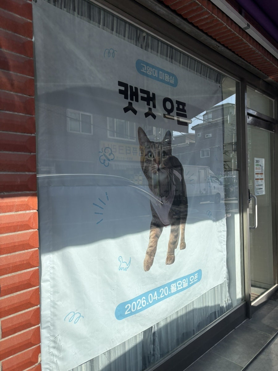 도봉구 고양이 무마취 미용, 캣컷 솔직 후기 — 사진 3