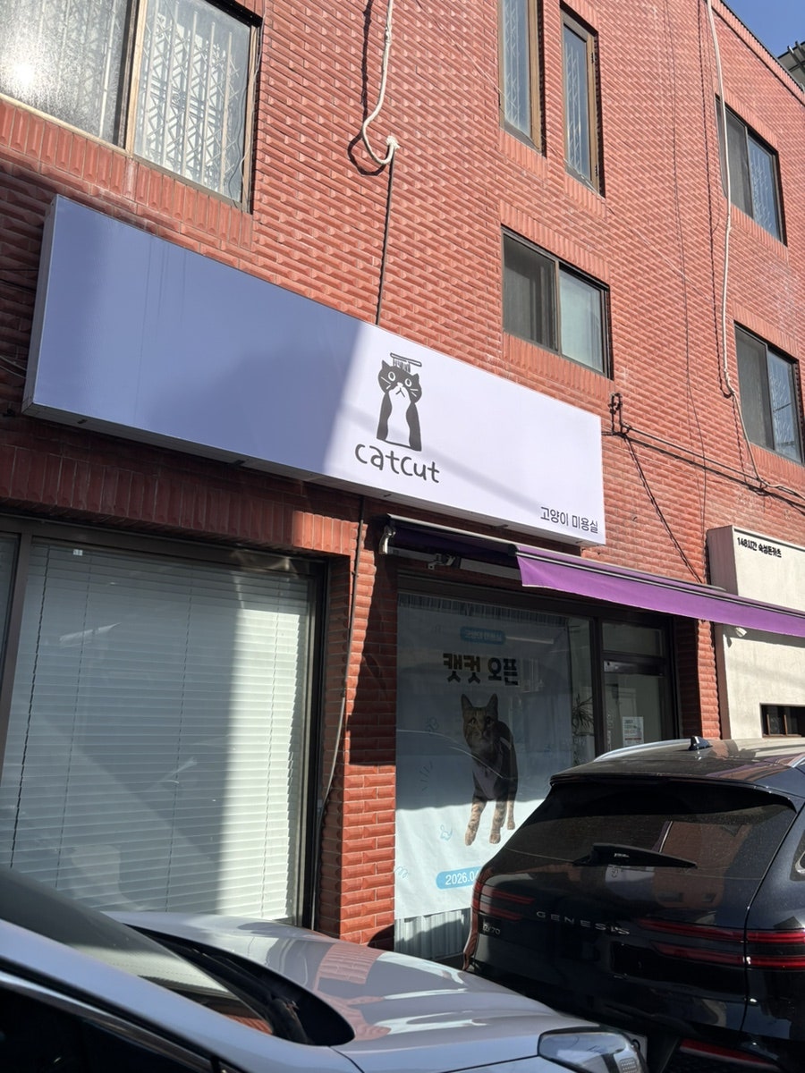도봉구 고양이 무마취 미용, 캣컷 솔직 후기 — 사진 2