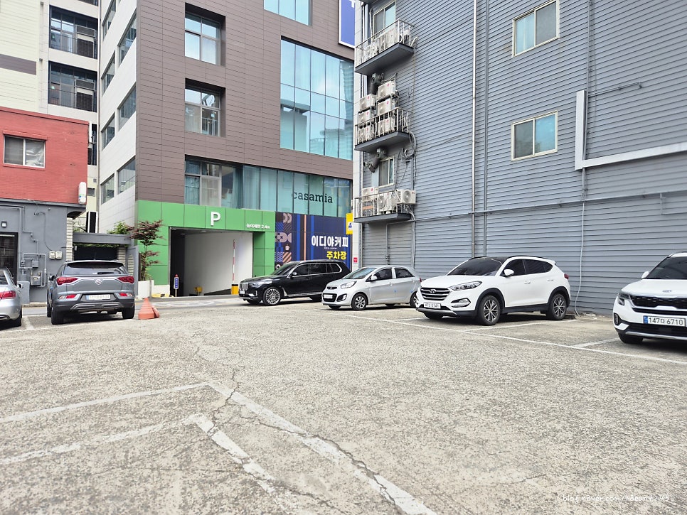 대구 우리들외과동물의료센터 강아지 정형외과 검진 후기 — 사진 5