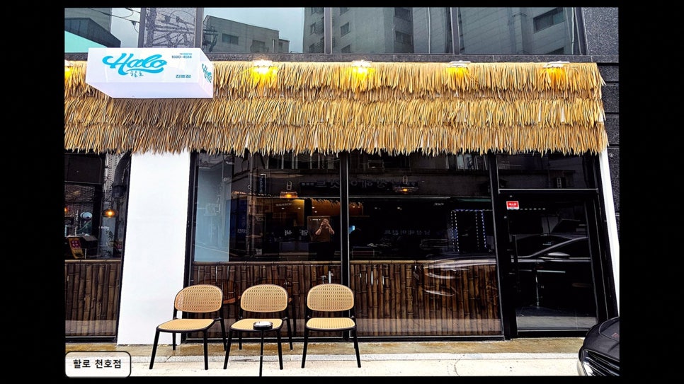 할로 사진 4