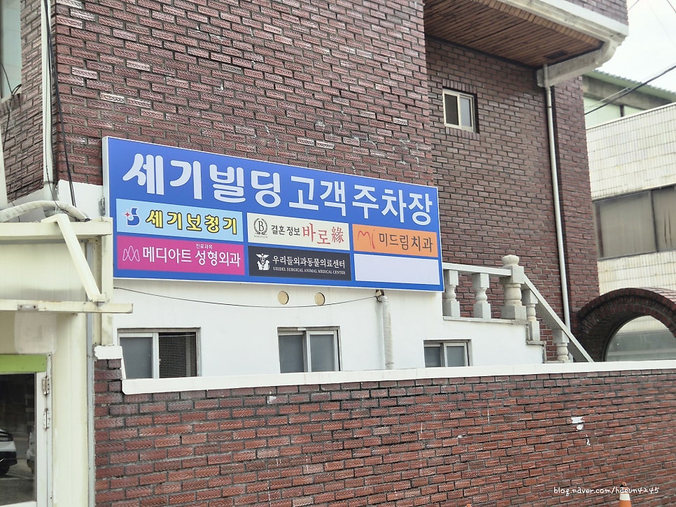 대구 우리들외과동물의료센터 강아지 정형외과 검진 후기 — 사진 3