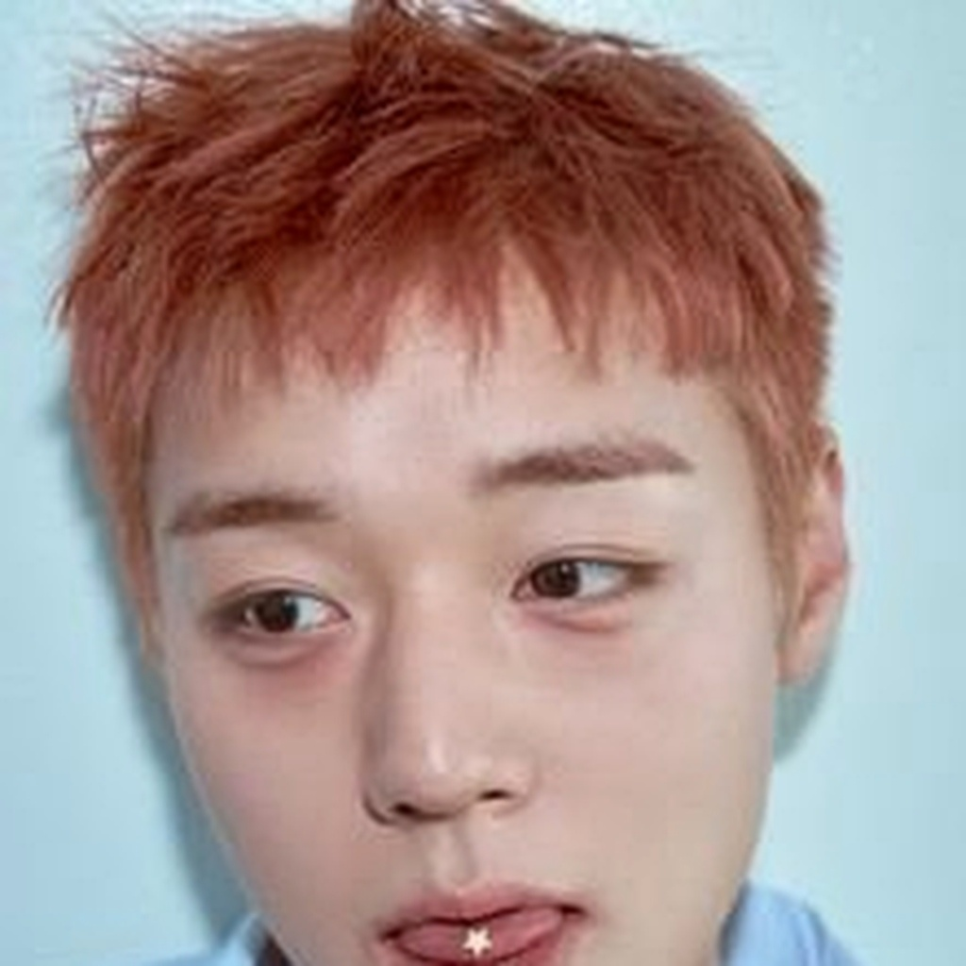 박지훈 리플렉트 컴백 성공 지금 더 주목받는 이유는? 이미지 2