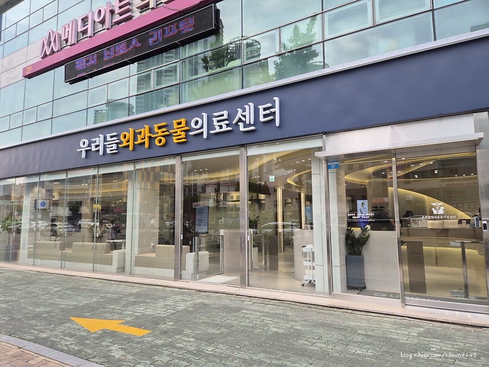 대구 우리들외과동물의료센터 강아지 정형외과 검진 후기 — 사진 7