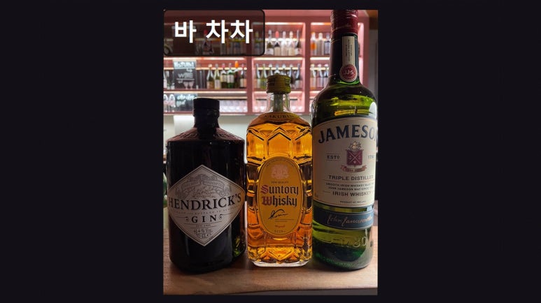 바차차 사진 6