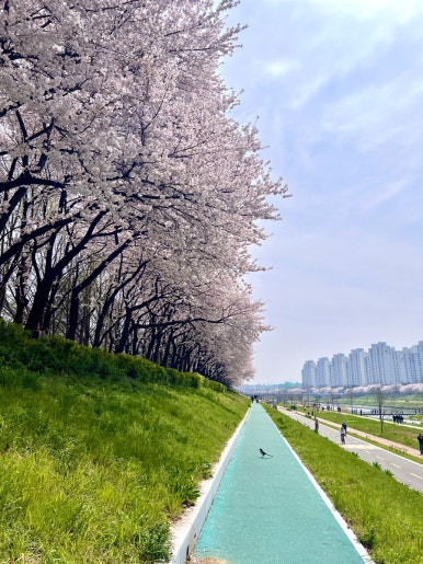 노야 광화문SFC 사진 8