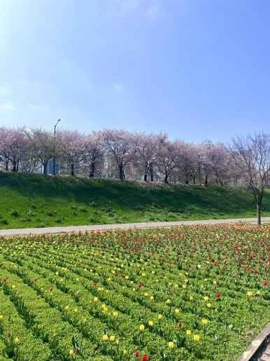 노야 광화문SFC 사진 5