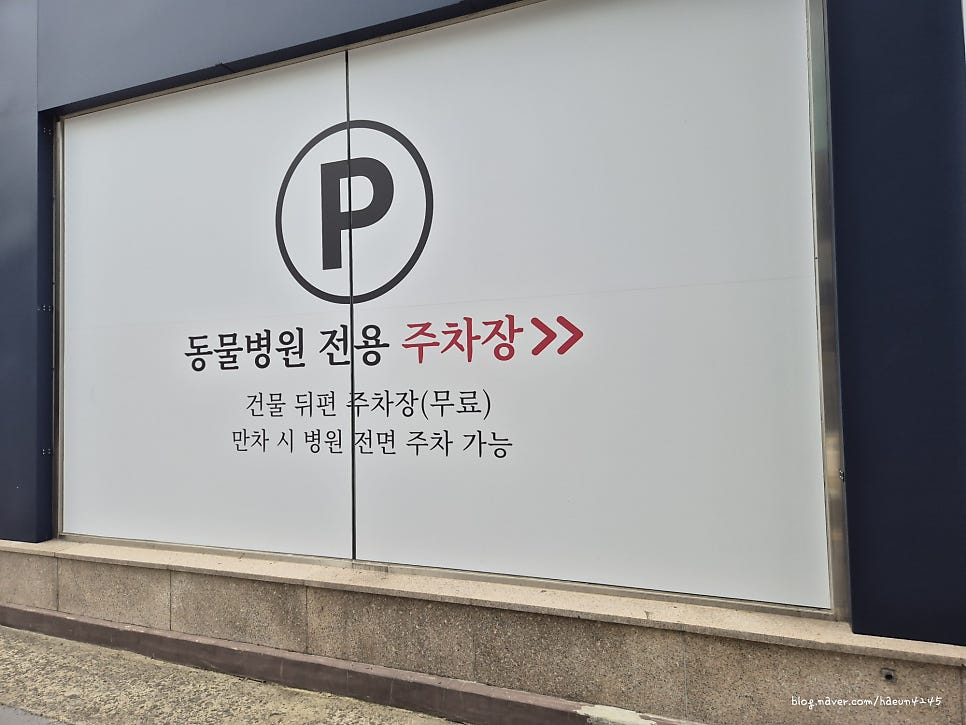 대구 우리들외과동물의료센터 강아지 정형외과 검진 후기 — 사진 4