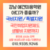 강남 애견미용학원, 국비지원 vs 특별지원 비교 및 커리큘럼 총정리