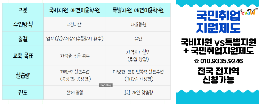 강남 애견미용학원, 국비지원 vs 특별지원 비교 및 커리큘럼 총정리 — 사진 3