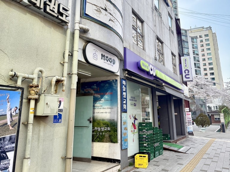 무드 사진 5