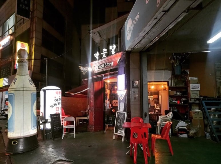 박콧털 사진 5