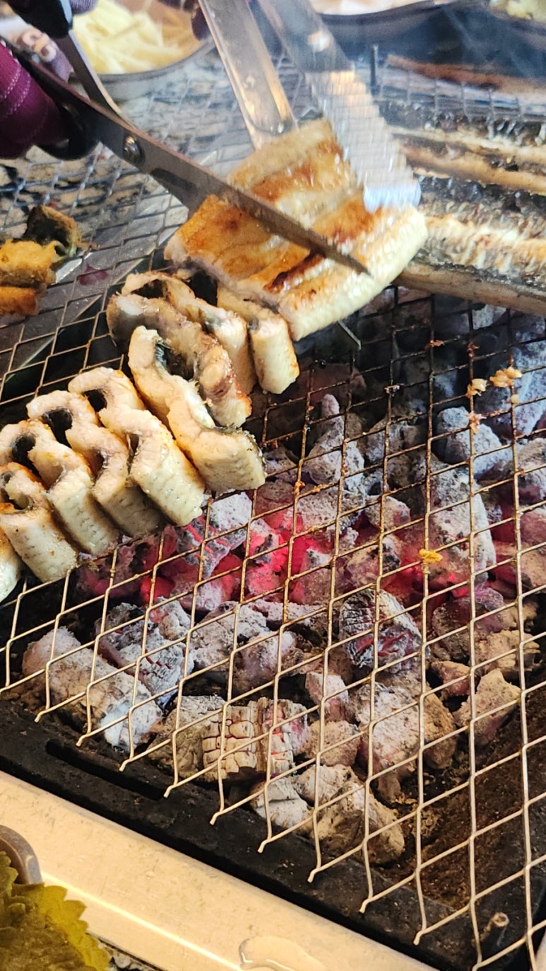 선운산민물장어 사진 3