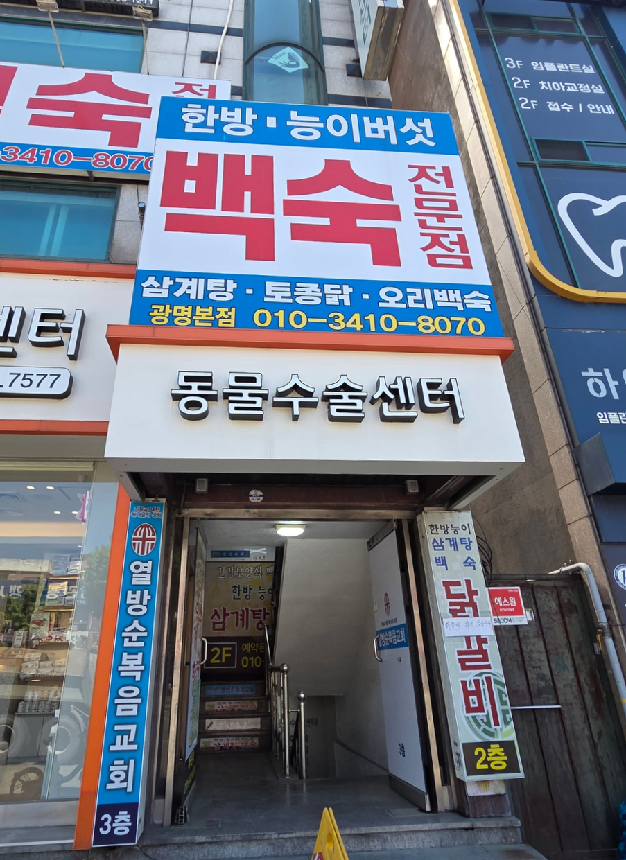 한방능이백숙전문점 사진 6