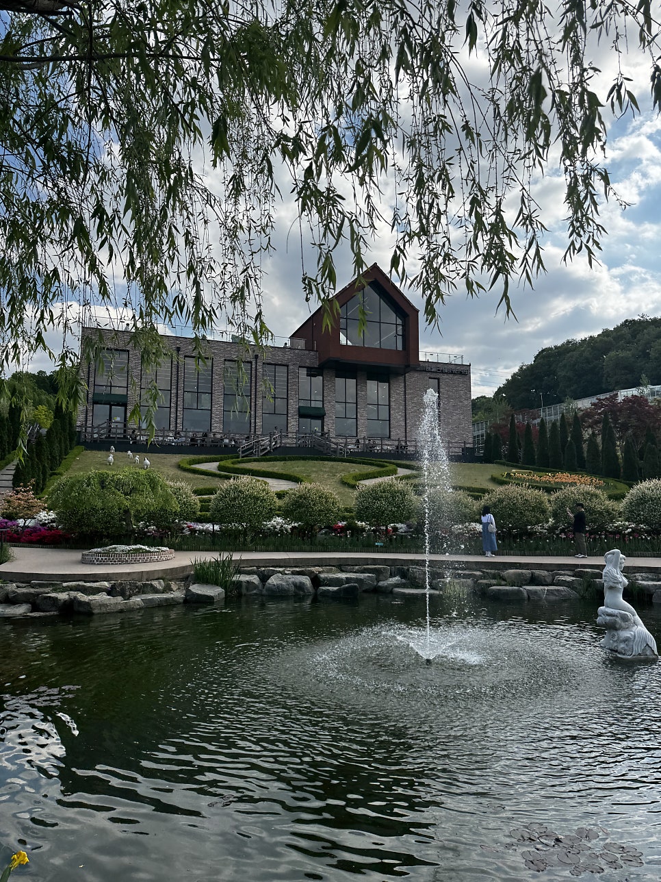 용인 베툴라 카페, 유럽 정원뷰 야외 테라스 애견 동반 후기