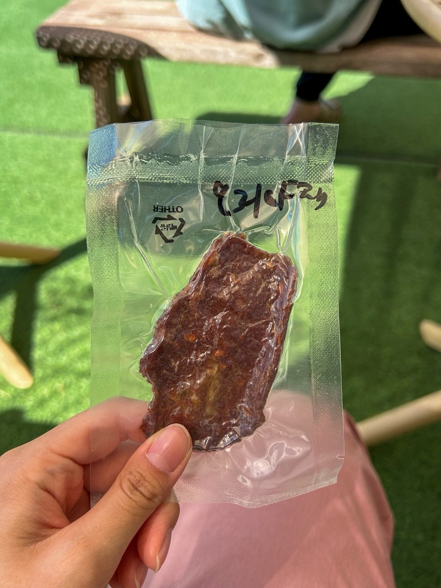 성남 애견카페 라드독: 천연잔디 운동장 재방문 후기 — 사진 15