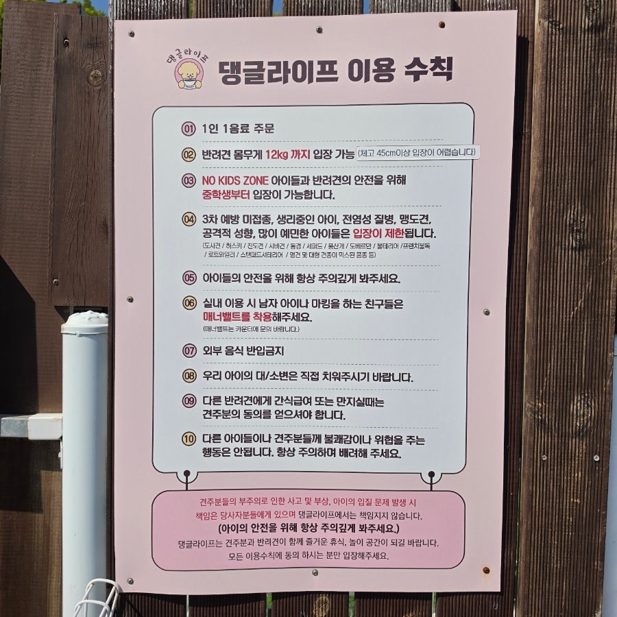 용인애견카페 댕글라이프, 강아지 동반 실내외 운동장 후기 — 사진 4