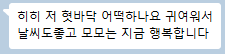 대구 칠곡 애견 유치원·호텔, 도기야드에서의 행복한 하루