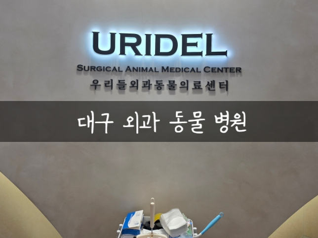 대구 강아지 허리 디스크 재활 치료 후기
