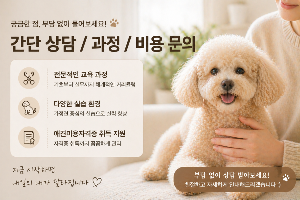 대전 애견미용학원, 강아지 위한 자격증 과정 알아보기 — 사진 13