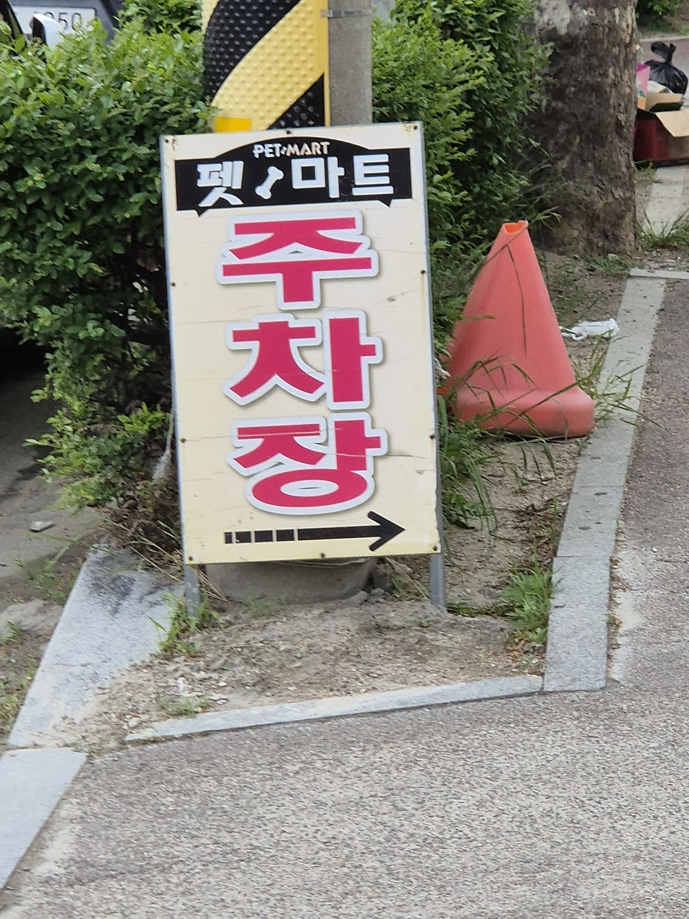 안양애견용품 쇼핑: 안양펫마트 최대 규모 매장 방문 후기 — 사진 5