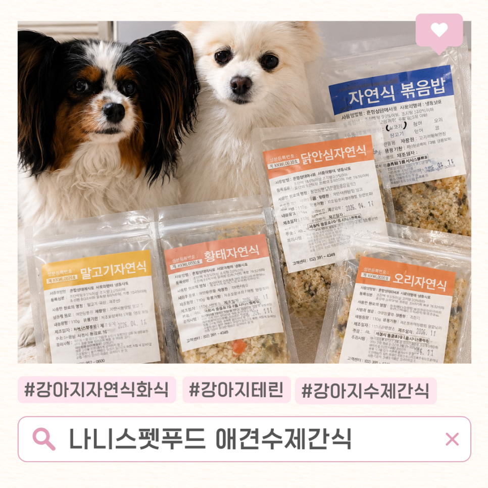 강아지 자연식 추천: 나니스펫푸드 신선한 수제간식 — 사진 2