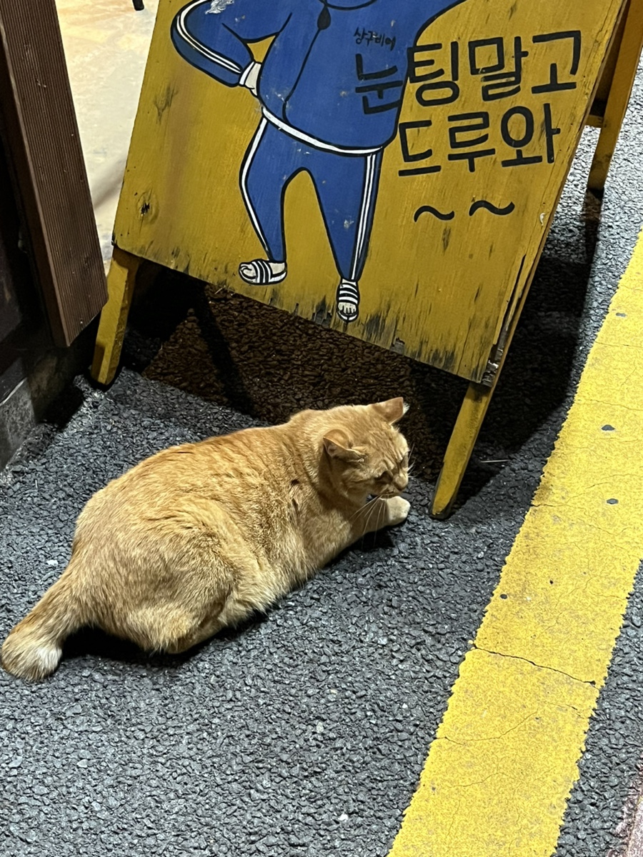 너구리굴 사진 7