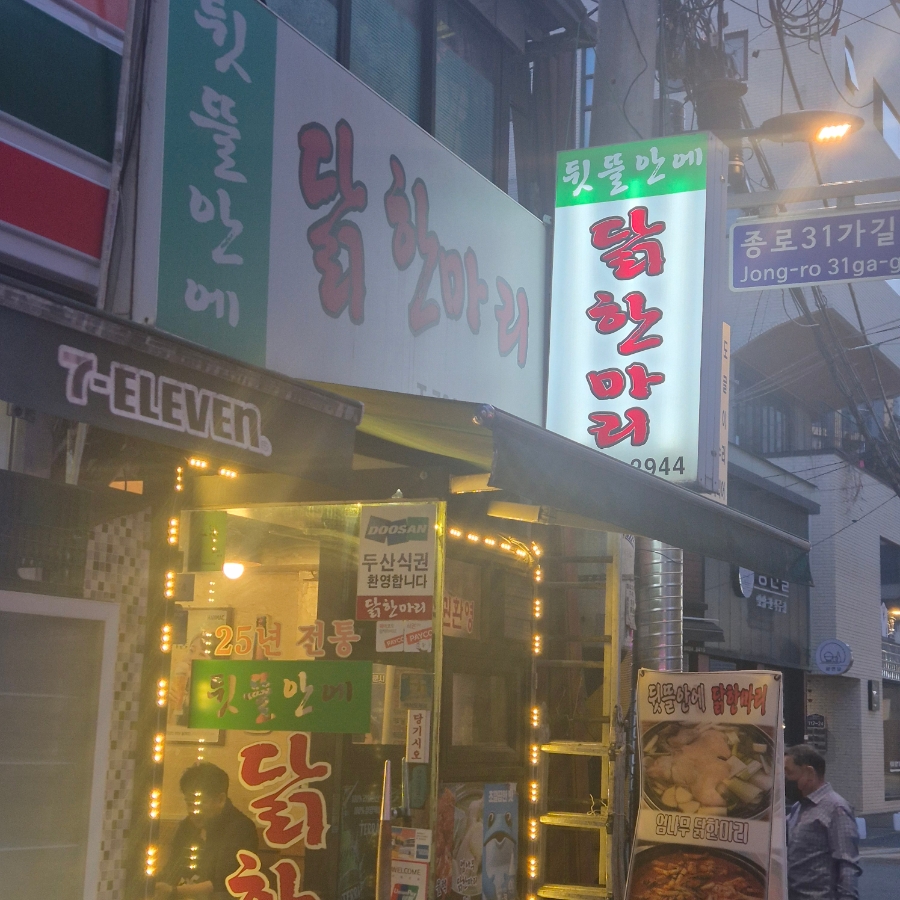 뒷뜰안에닭한마리 사진 5