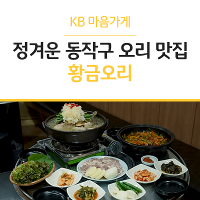 황금오리 사진 3