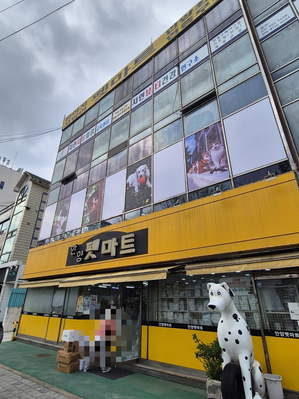 안양애견용품 쇼핑: 안양펫마트 최대 규모 매장 방문 후기 — 사진 2