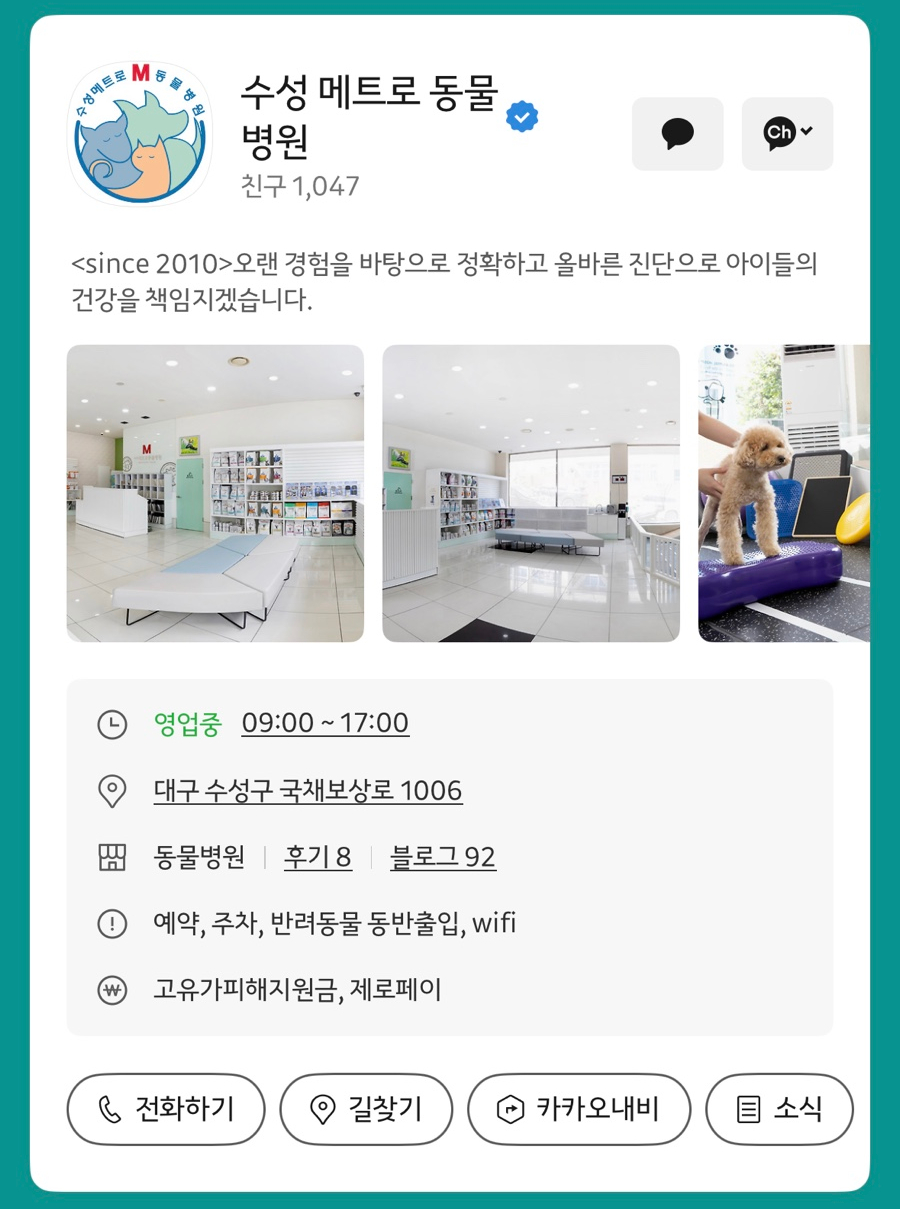 대구 수성메트로동물병원, 강아지 관절 및 슬개골 검사 후기 — 사진 16