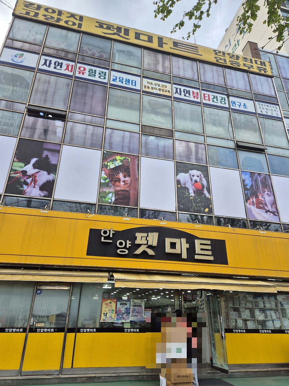 안양애견용품 쇼핑: 안양펫마트 최대 규모 매장 방문 후기 — 사진 3