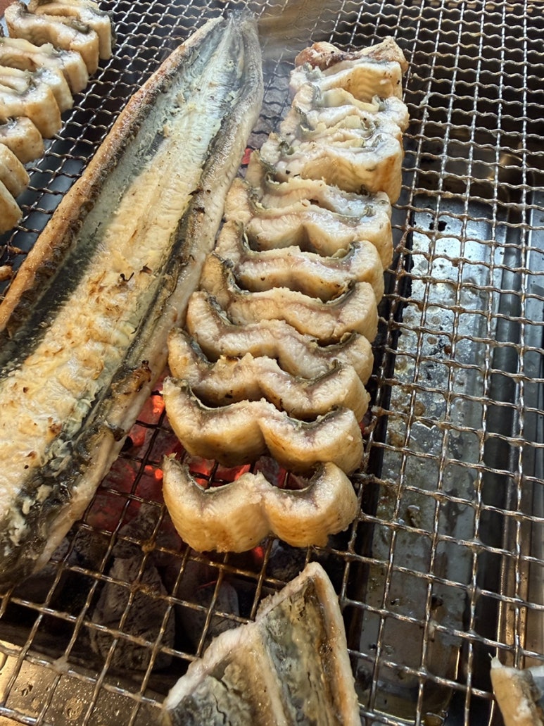 장어시대 사진 5