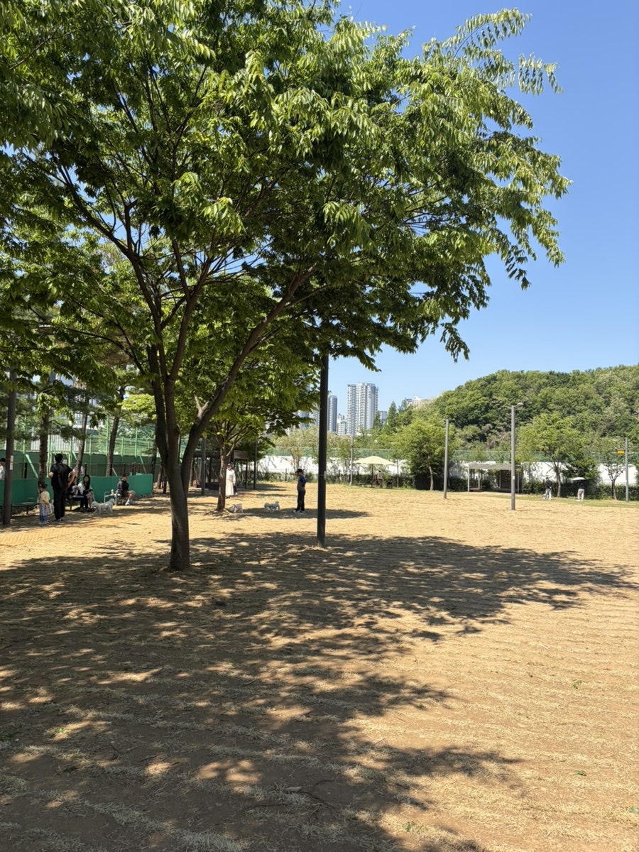 동탄 여울공원 반려견 놀이터 솔직 후기 및 이용 방법 — 사진 11