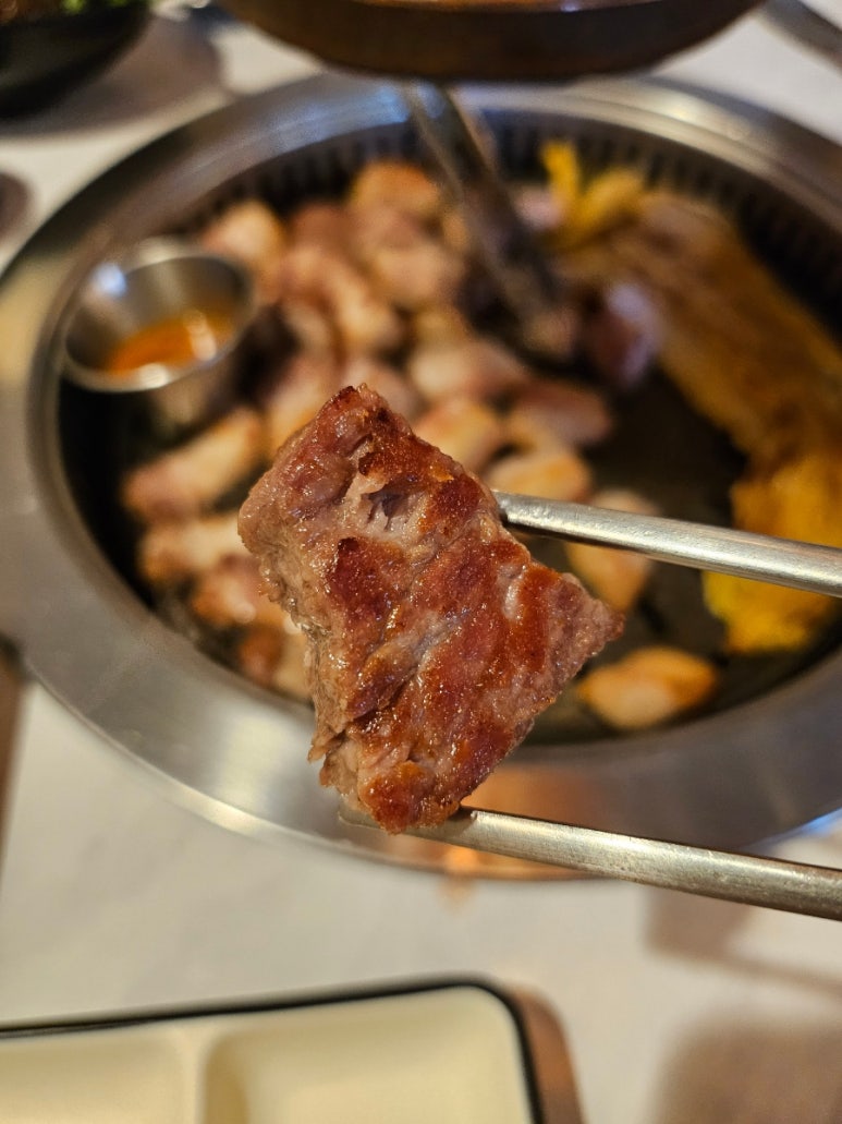 도약 사진 8