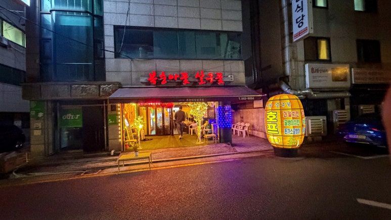 복숭아꽃 살구꽃 사진 7