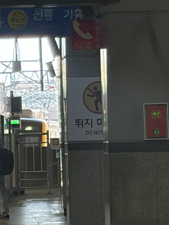 한사발포차 홍대점 사진 5