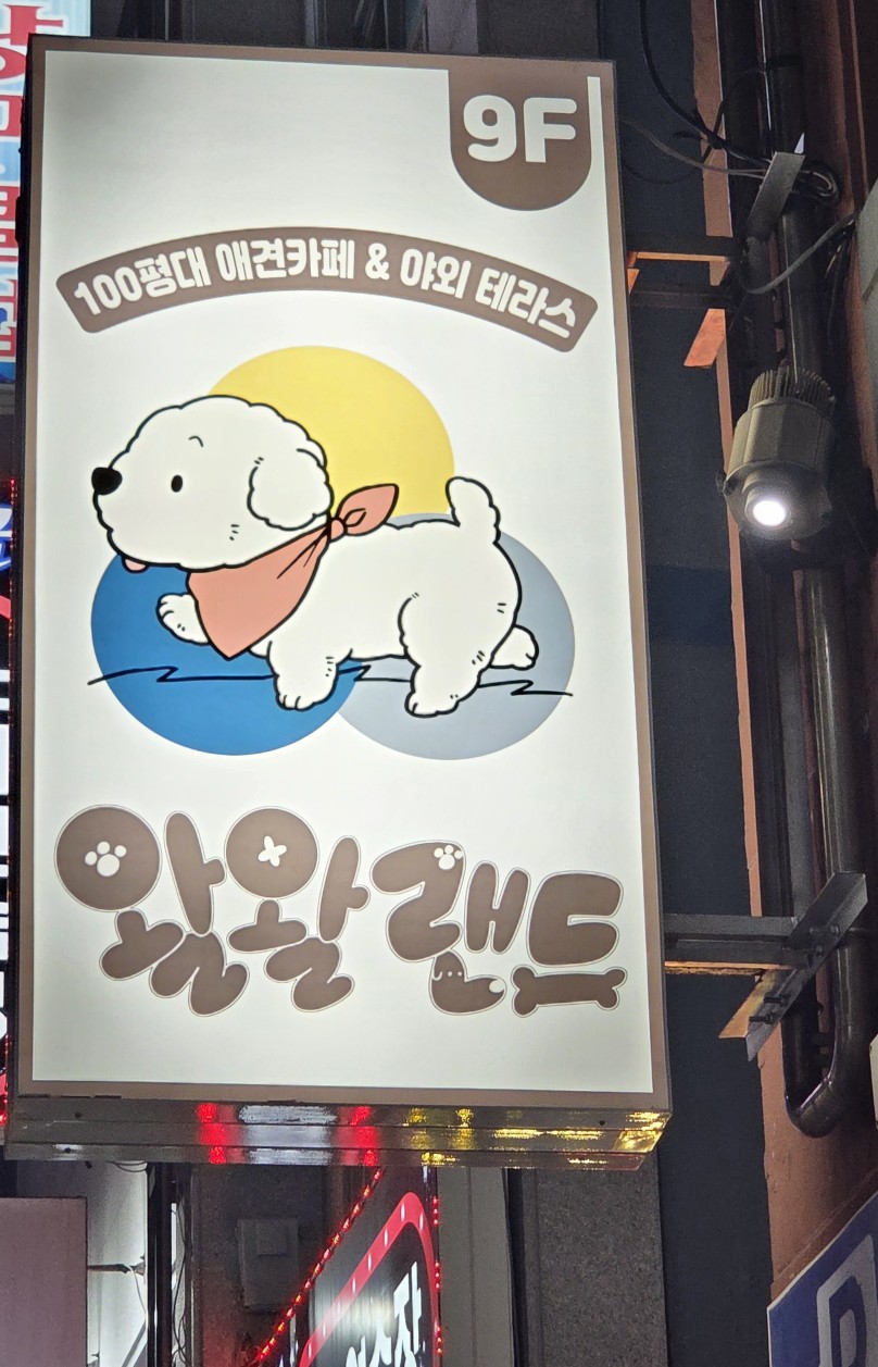부산 왈왈랜드, 늦은 시간까지 강아지와 함께 즐기는 애견카페