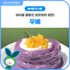 피드를 점령한 보랏빛 식재료💜우베를 소개합니다! 바로가기