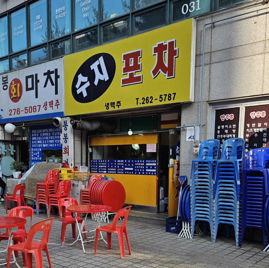 수지포차 사진 5