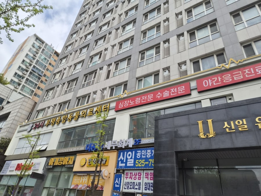 24시 부평종합동물의료센터 강아지 사이토포인트 주사 후기 — 사진 2