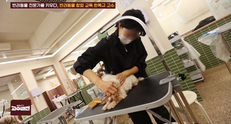 강남 애견미용학원, 4개월 과정으로 실전 실력 키우기 — 사진 2