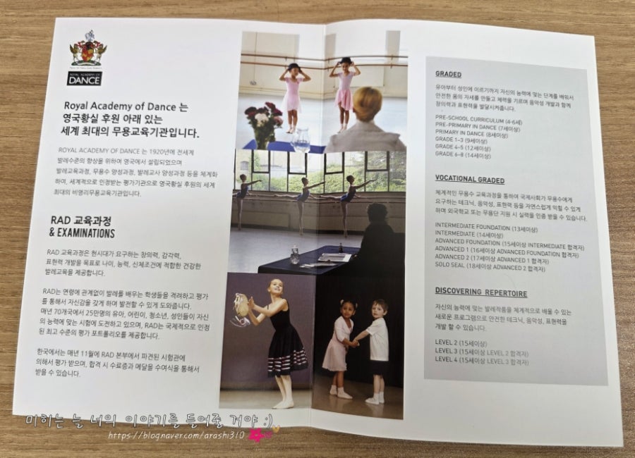 노원구 성인 취미발레, 은수희RAD발레학원 수강 후기 — 사진 4