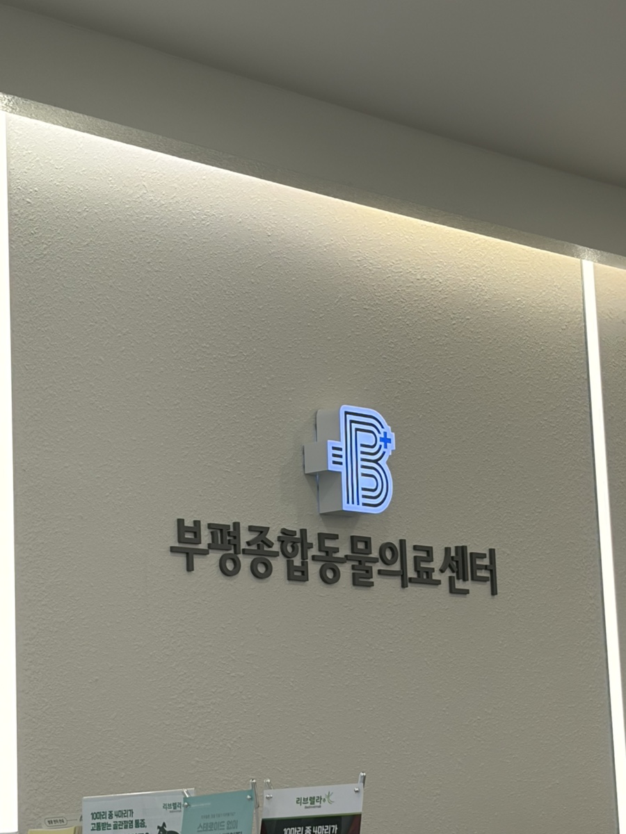 부평 24시 동물병원, 강아지 건강검진 및 넥스가드 처방 후기