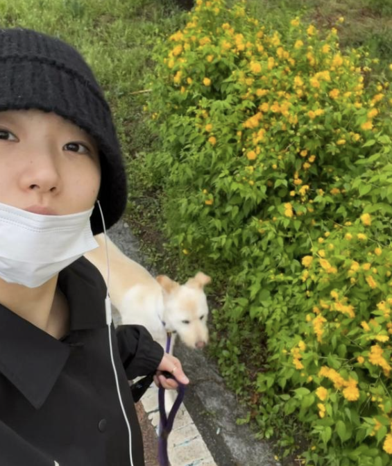 불치병 유기견 입양 김고은 발언 하나로 논란이 커졌다 이미지 5