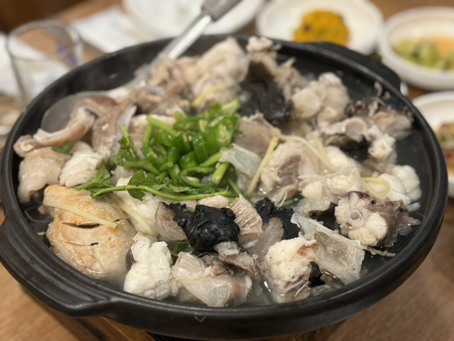 우리집 대표 사진