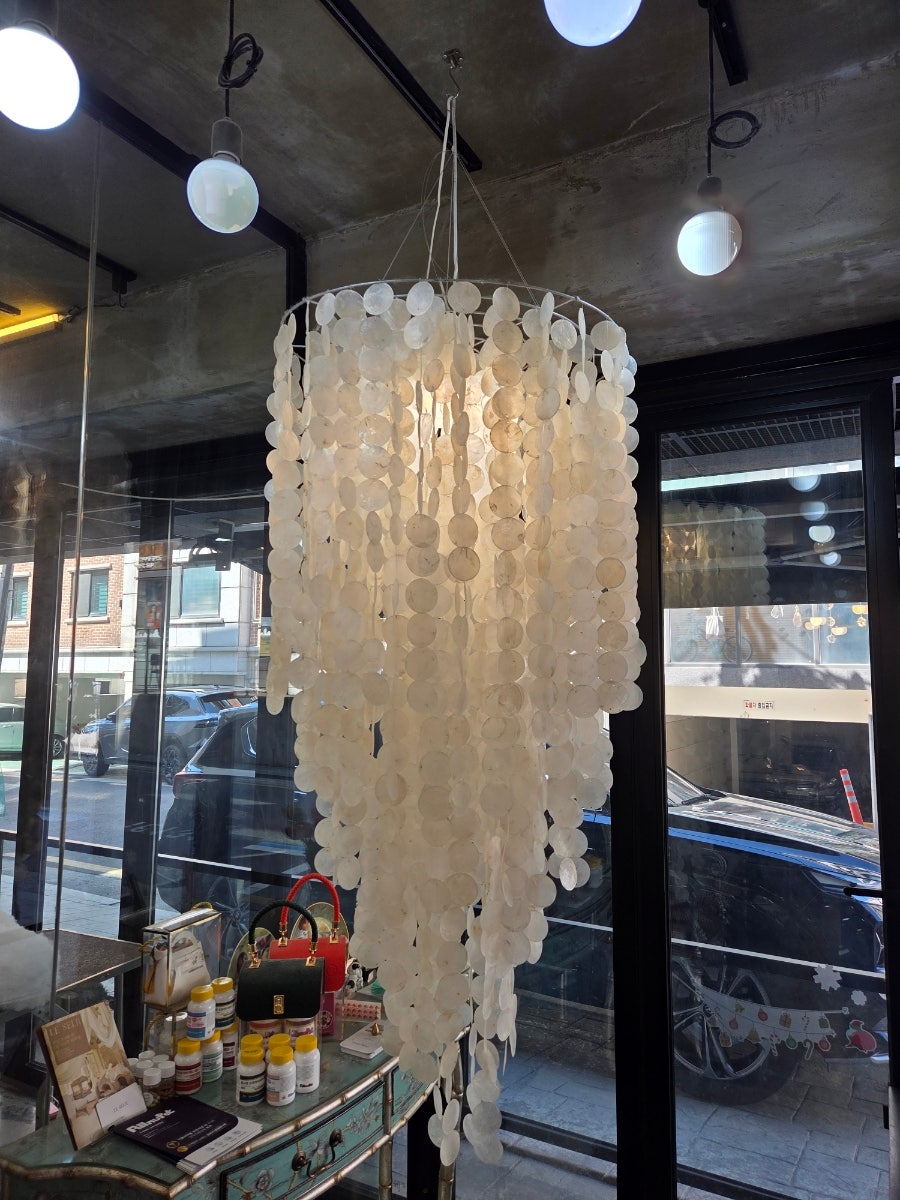 강남 비숑 미용 추천: 10년 단골 개스타일 후기 — 사진 7