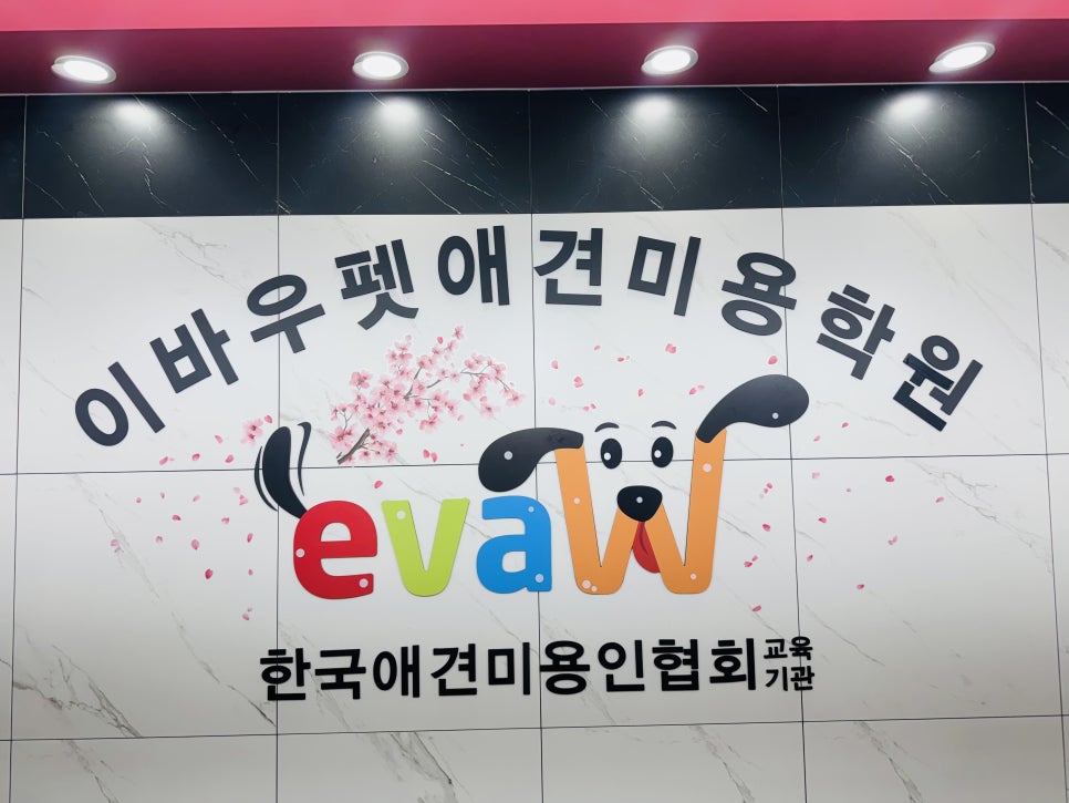 강동 애견미용 자격증, 실무 교육으로 취업까지 준비하기 — 사진 9