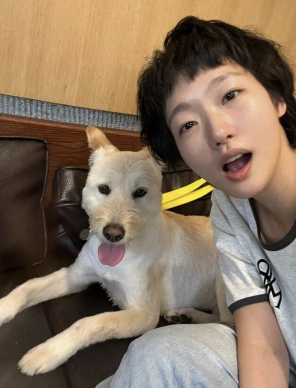 불치병 유기견 입양 김고은 발언 하나로 논란이 커졌다 이미지 2