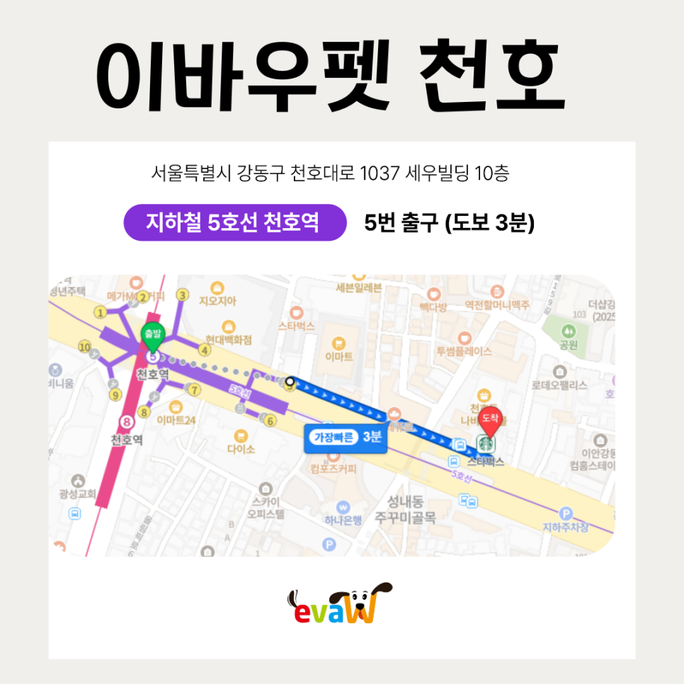 강동 애견미용 자격증, 실무 교육으로 취업까지 준비하기 — 사진 2