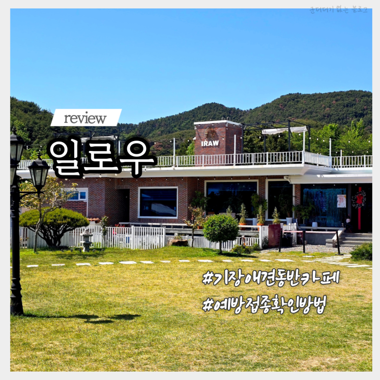 강아지 기장 애견운동장 일로우, 마중 체크인으로 편리하게 이용하기